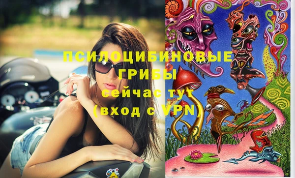 шишки Верхний Тагил